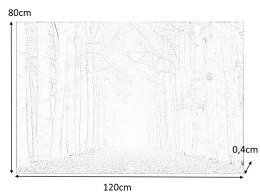 SIGNAL OBRAZ TREES II 120X80 - obraz na szkle hartowanym, las liściasty, aleja drzew
