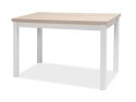 SIGNAL STÓŁ ADAM PŁYTA LAMINOWANA DĄB SONOMA / MDF BIAŁY MAT 120x68 SIGNAL STÓŁ ADAM PŁYTA LAMINOWANA DĄB SONOMA / MDF BIAŁY MAT 120x68