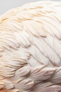 Kare Design KARE dekoracja stojąca FLAMINGO ROAD - flaming pomarańczowo - biały z żywicy polimerowej, dekoracja do ogrodu Kare Design KARE dekoracja stojąca FLAMINGO ROAD - flaming pomarańczowo - biały z żywicy polimerowej, dekoracja do ogrodu