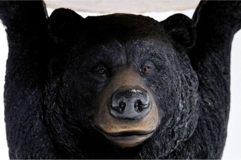 Kare Design KARE stolik BEAR czarny / drewniany czarny - stolik kawowy okragły blat, podstawa w kształcie niedźwiedzia Kare Design KARE stolik BEAR czarny / drewniany czarny - stolik kawowy okragły blat, podstawa w kształcie niedźwiedzia