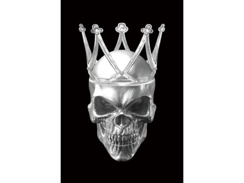 OBRAZ SKULL II 80X120 OBRAZ SKULL II 80X120