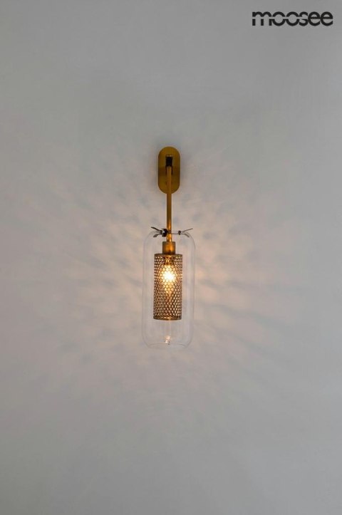 Moosee MOOSEE Kinkiet lampa ścienna LAMPION złota stal klosz szkło transparentny E14 Moosee MOOSEE Kinkiet lampa ścienna LAMPION złota stal klosz szkło transparentny E14
