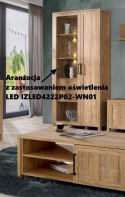 Forte MALTE BRUN IZLED4222P02-WN01 Oświetlenie do mebli Forte MALTE BRUN IZLED4222P02-WN01 Oświetlenie do mebli