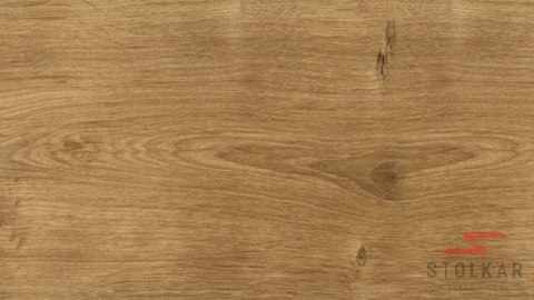 BLAT BG30 DĄB ARLINGTON 60 CM OBUSTRONNIE LAMINAT BLAT BG30 DĄB ARLINGTON 60 CM OBUSTRONNIE LAMINAT