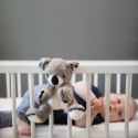Zazu Kids Zazu COCO Szumiąca Przytulanka Koala Zazu Kids Zazu COCO Szumiąca Przytulanka Koala