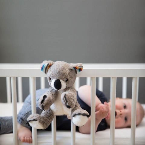 Zazu Kids Zazu COCO Szumiąca Przytulanka Koala Zazu Kids Zazu COCO Szumiąca Przytulanka Koala