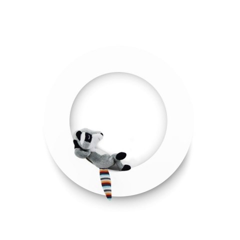 Zazu Kids Zazu FAY REX OTIS Lampa Ścienna Zazu Kids Zazu FAY REX OTIS Lampa Ścienna