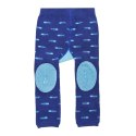 Zoocchini Zoocchini Legginsy i Skarpetki Rekin 6-12 Zoocchini Zoocchini Legginsy i Skarpetki Rekin 6-12