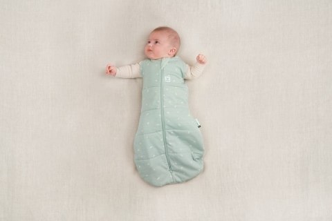 ErgoPouch ErgoPouch Otulacz Śpiworek 6-12M 2.5TOG ErgoPouch ErgoPouch Otulacz Śpiworek 6-12M 2.5TOG