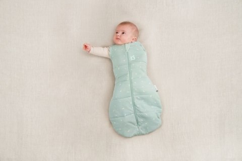 ErgoPouch ErgoPouch Otulacz Śpiworek 6-12M 2.5TOG ErgoPouch ErgoPouch Otulacz Śpiworek 6-12M 2.5TOG
