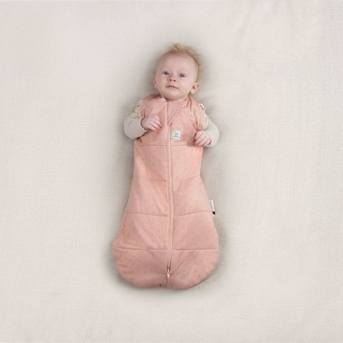ErgoPouch ErgoPouch Otulacz Śpiworek 6-12M 2.5TOG ErgoPouch ErgoPouch Otulacz Śpiworek 6-12M 2.5TOG
