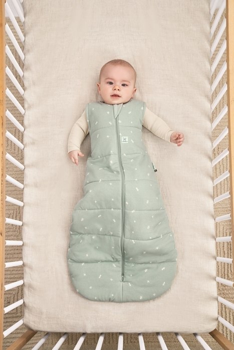 ErgoPouch ErgoPouch Śpiworek Jersey 8-24M 2.5TOG ErgoPouch ErgoPouch Śpiworek Jersey 8-24M 2.5TOG