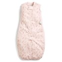 ErgoPouch ErgoPouch Śpiworek Kombinezon 2-12M 0.3TOG ErgoPouch ErgoPouch Śpiworek Kombinezon 2-12M 0.3TOG