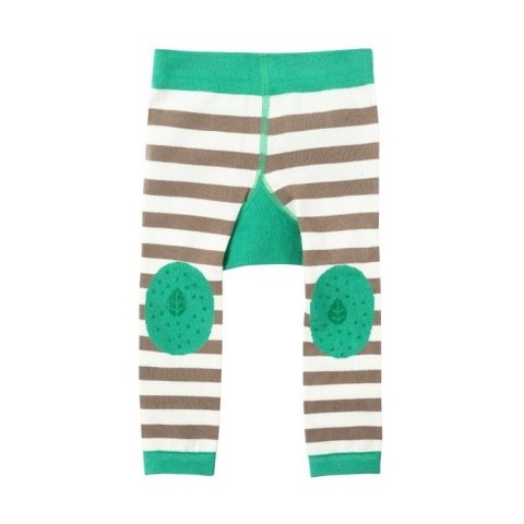 Zoocchini Zoocchini Legginsy i Skarpetki Leniwiec Zoocchini Zoocchini Legginsy i Skarpetki Leniwiec