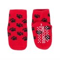 Zoocchini Zoocchini Legginsy i Skarpetki Miś 6-12M