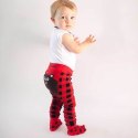 Zoocchini Zoocchini Legginsy i Skarpetki Miś 6-12M