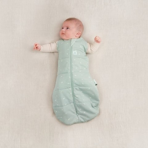 ErgoPouch ErgoPouch Otulacz Śpiworek 0-3M 2.5TOG ErgoPouch ErgoPouch Otulacz Śpiworek 0-3M 2.5TOG