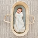 ErgoPouch ErgoPouch Otulacz Śpiworek 6-12M 1.0TOG ErgoPouch ErgoPouch Otulacz Śpiworek 6-12M 1.0TOG