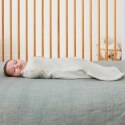 ErgoPouch ErgoPouch Otulacz Śpiworek 6-12M 1.0TOG ErgoPouch ErgoPouch Otulacz Śpiworek 6-12M 1.0TOG