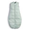 ErgoPouch ErgoPouch Śpiworek 3-12M 2.5TOG ErgoPouch ErgoPouch Śpiworek 3-12M 2.5TOG