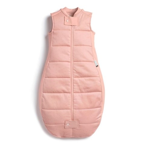 ErgoPouch ErgoPouch Śpiworek 3-12M 2.5TOG ErgoPouch ErgoPouch Śpiworek 3-12M 2.5TOG