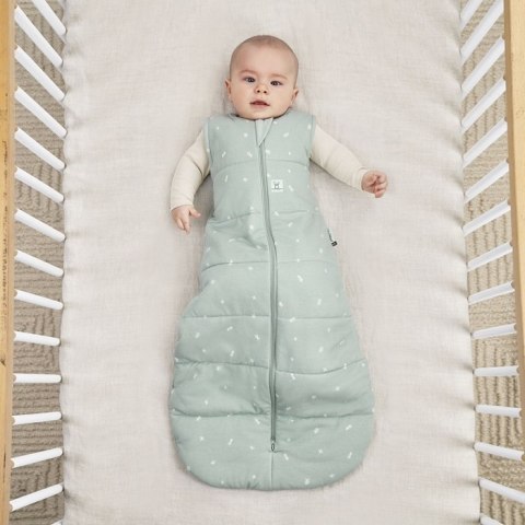 ErgoPouch ErgoPouch Śpiworek Jersey 3-12M 2.5TOG ErgoPouch ErgoPouch Śpiworek Jersey 3-12M 2.5TOG