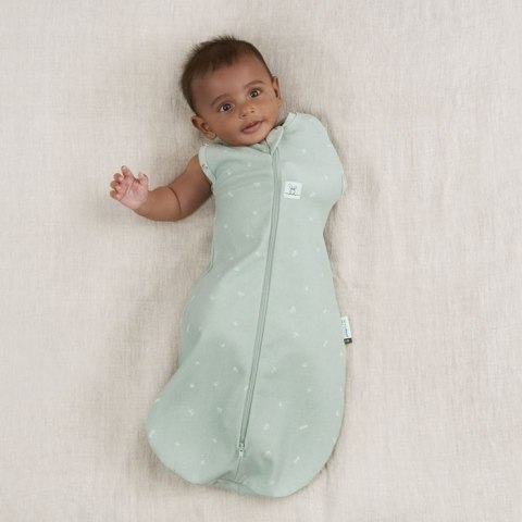 ErgoPouch ErgoPouch Otulacz Śpiworek 3-6M 0.2TOG Sage ErgoPouch ErgoPouch Otulacz Śpiworek 3-6M 0.2TOG Sage