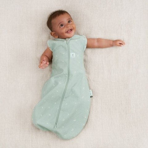 ErgoPouch ErgoPouch Otulacz Śpiworek 3-6M 0.2TOG Sage ErgoPouch ErgoPouch Otulacz Śpiworek 3-6M 0.2TOG Sage