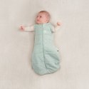 ErgoPouch ErgoPouch Otulacz Śpiworek 3-6M 2.5TOG Sage ErgoPouch ErgoPouch Otulacz Śpiworek 3-6M 2.5TOG Sage