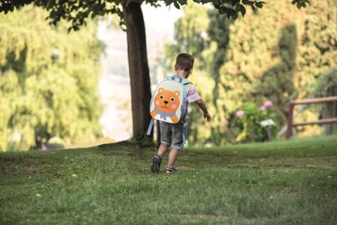 Oops Oops Plecak dla Dziecka 3D Miś Oops Oops Plecak dla Dziecka 3D Miś