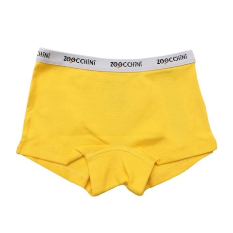 Zoocchini Zoocchini Majtki Bokserki Dziewczęce Flower Power 4-5 lat - 3 szt Zoocchini Zoocchini Majtki Bokserki Dziewczęce Flower Power 4-5 lat - 3 szt