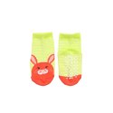 Zoocchini Zoocchini Legginsy i Skarpetki Królik Nowy 6-12M