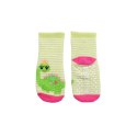 Zoocchini Zoocchini Skarpetki 3 Pary Dino Nowy 0-24M Zoocchini Zoocchini Skarpetki 3 Pary Dino Nowy 0-24M