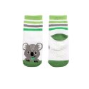 Zoocchini Zoocchini Skarpetki 3 Pary Koala 0-24M