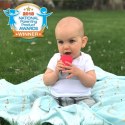 Innobaby Innobaby Gryzak Pierwszy Klejnot Oliwin Innobaby Innobaby Gryzak Pierwszy Klejnot Oliwin
