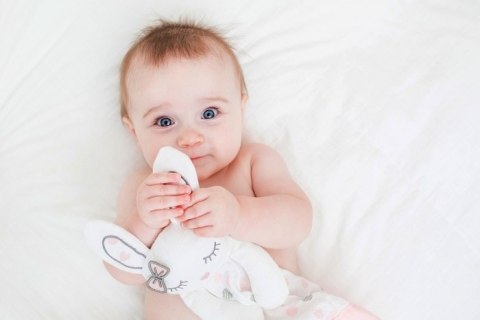 Lulujo Lulujo Lovies Kocyk Przytulanka Królik Lulujo Lulujo Lovies Kocyk Przytulanka Królik