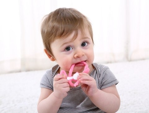 Mombella Mombella Gryzak Zabawka Małpka Pink Mombella Mombella Gryzak Zabawka Małpka Pink