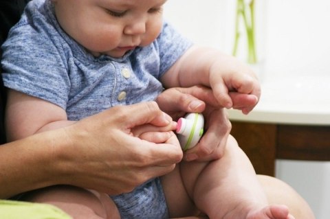ZoLi ZoLi Zapasowe Końcówki do Buzz B 3-6 m ZoLi ZoLi Zapasowe Końcówki do Buzz B 3-6 m