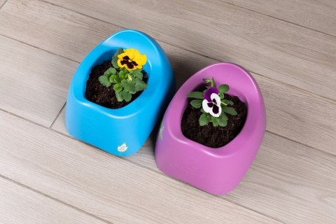 EKoala EKoala Nocnik Anatomiczny Purple BIOplastik EKoala EKoala Nocnik Anatomiczny Purple BIOplastik