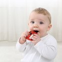 Mombella Mombella Szczoteczka Treningowa Biedronka Dori 3-8 miesięcy Mombella Mombella Szczoteczka Treningowa Biedronka Dori 3-8 miesięcy