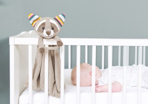 Zazu Kids Zazu ROBIN Szumiąca Przytulanka Szop Zazu Kids Zazu ROBIN Szumiąca Przytulanka Szop