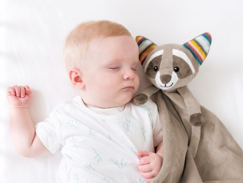 Zazu Kids Zazu ROBIN Szumiąca Przytulanka Szop Zazu Kids Zazu ROBIN Szumiąca Przytulanka Szop