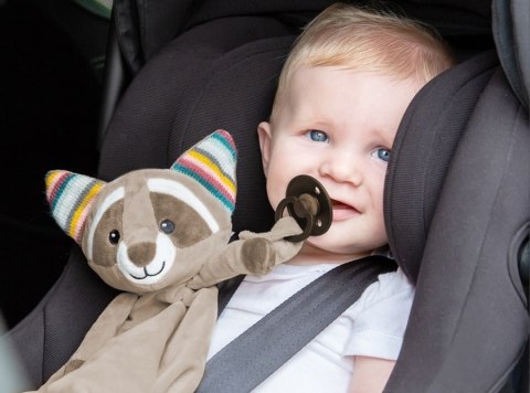 Zazu Kids Zazu ROBIN Szumiąca Przytulanka Szop Zazu Kids Zazu ROBIN Szumiąca Przytulanka Szop