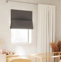 Umbra UMBRA panel zaciemniający NIGHTFALL 129 cm - 198 cm ciemno szary Umbra UMBRA panel zaciemniający NIGHTFALL 129 cm - 198 cm ciemno szary
