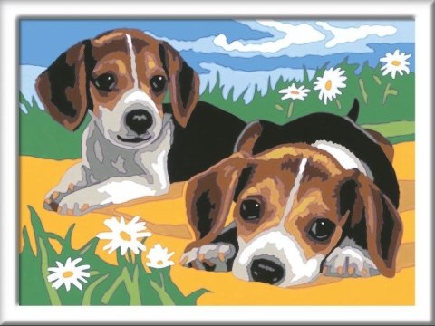 CreArt CreArt Malowanie Po Numerach Dla Dzieci Szczeniaczki Jack Russel CreArt CreArt Malowanie Po Numerach Dla Dzieci Szczeniaczki Jack Russel