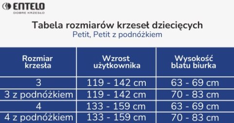 Entelo Petit Szary Visto 01 rozmiar 4 WK+P ergonomiczne krzesło / fotel do biurka Entelo Petit Szary Visto 01 rozmiar 4 WK+P ergonomiczne krzesło / fotel do biurka