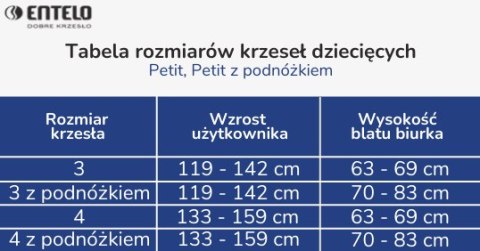 Entelo Petit Szary Visto 03 rozmiar 3 WK+P ergonomiczne krzesło / fotel do biurka Entelo Petit Szary Visto 03 rozmiar 3 WK+P ergonomiczne krzesło / fotel do biurka