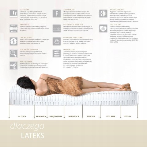 Materac lateksowy Hevea Comfort H3 200x90 (Aegis Natural Care) Materac lateksowy Hevea Comfort H3 200x90 (Aegis Natural Care)
