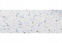 Materac lateksowy Hevea Family Medicare+ 200x80 (Tencel Silky Feeling)