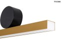 Moosee MOOSEE Kinkiet lampa ścienna LED WAND 45 złota stal nierdzewna osłona akryl montatura czarna Moosee MOOSEE Kinkiet lampa ścienna LED WAND 45 złota stal nierdzewna osłona akryl montatura czarna